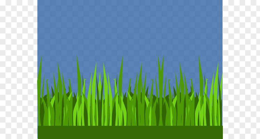 Animated Grass Cliparts Clip Art PNG