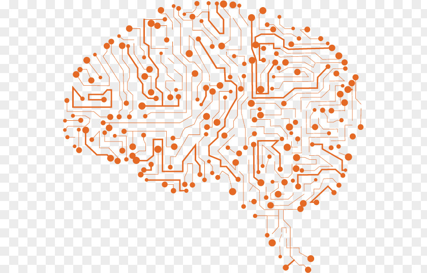 Brain Nervous System Neuron Cell NMDA Receptor PNG