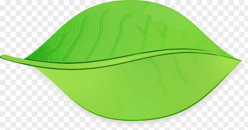 Cricket Cap Headgear Green Leaf Watercolor PNG