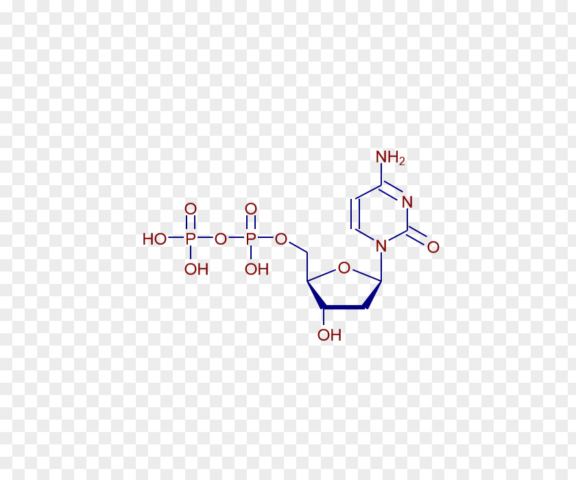 Deoxycytidine Triphosphate Nucleotide Deoxyadenosine Nucleoside Deoxyguanosine PNG triphosphate triphosphate, others clipart PNG