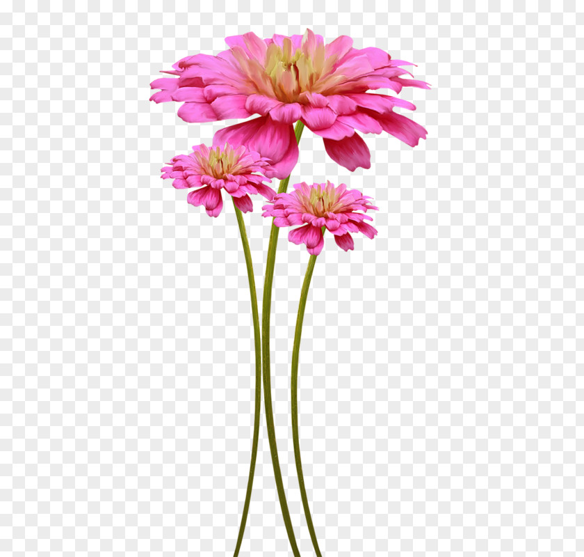 Flower Floral Design Clip Art PNG