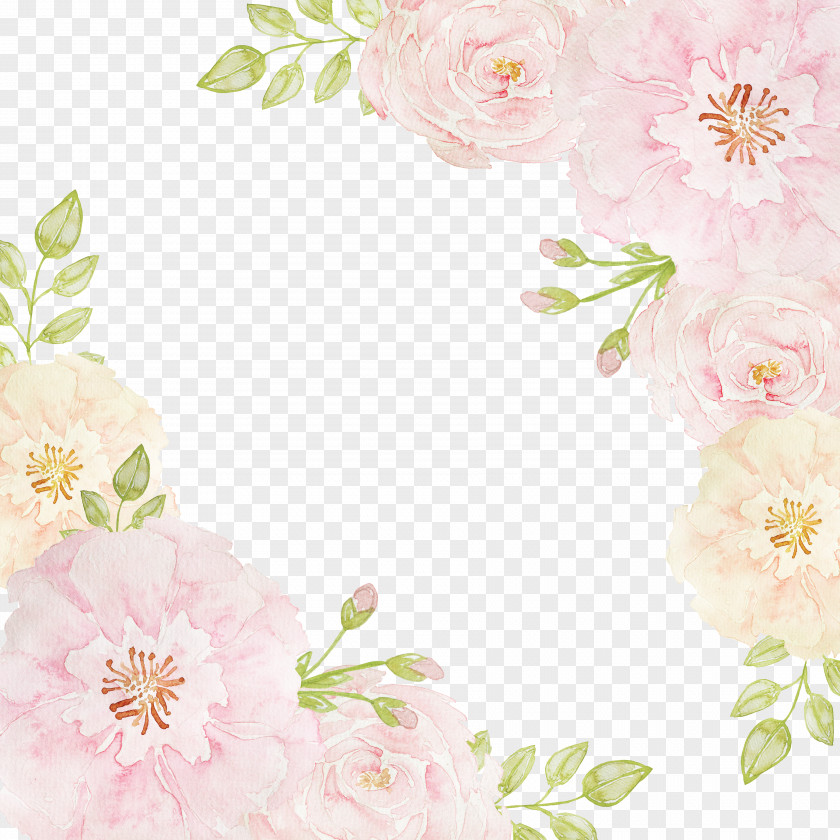 Flowers Borders Pink Beach Rose Clip Art PNG
