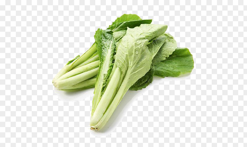 Fresh Cabbage Savoy Chinese Vegetable PNG