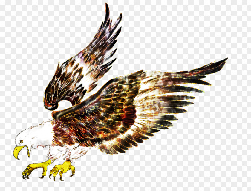 Cartoon Eagle Pattern Bird Hawk Flight PNG