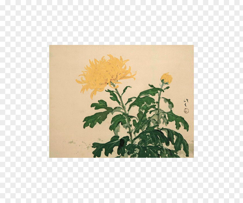Huang Jujube 古美術 Hako 2 Painter Chrysanthemum Author PNG