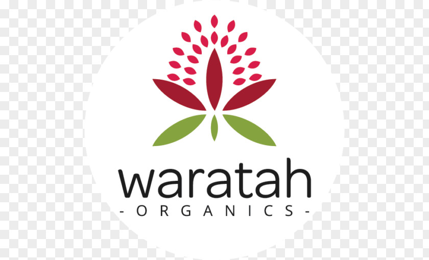 Juice Organic Food Waratah Organics Raw Foodism Cafe PNG