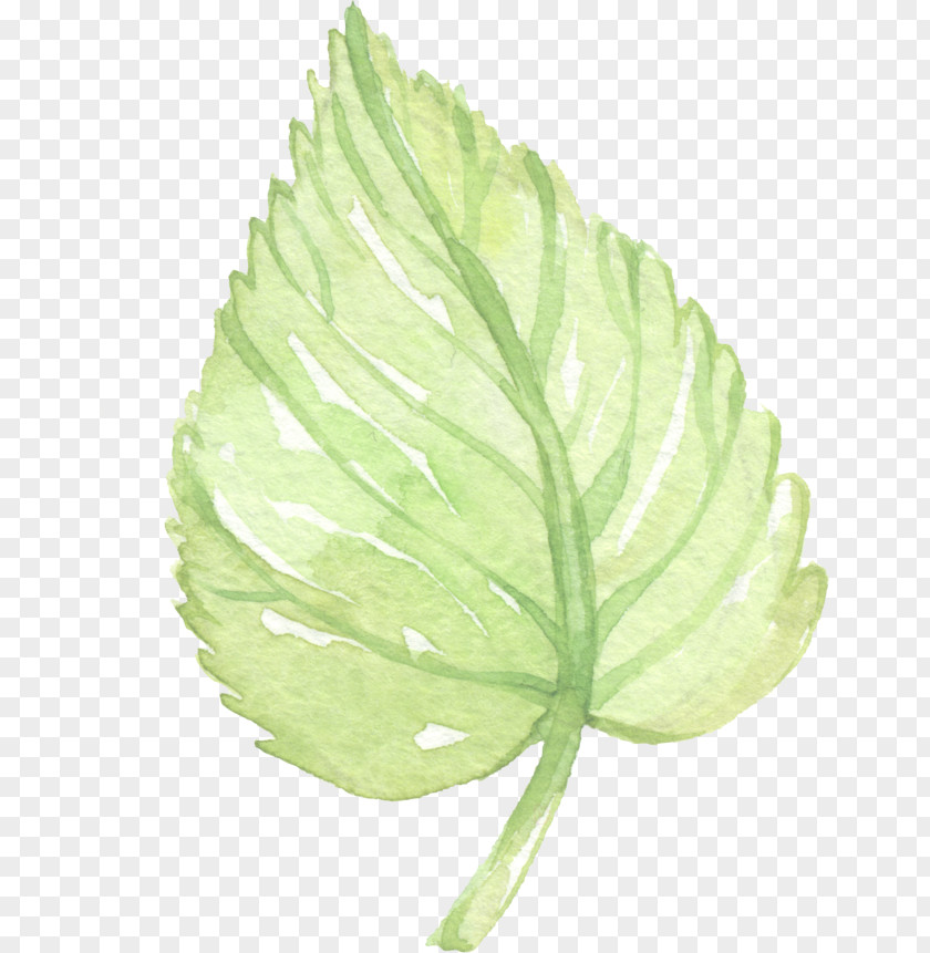 Leaf Watercolor Painting Clip Art PNG