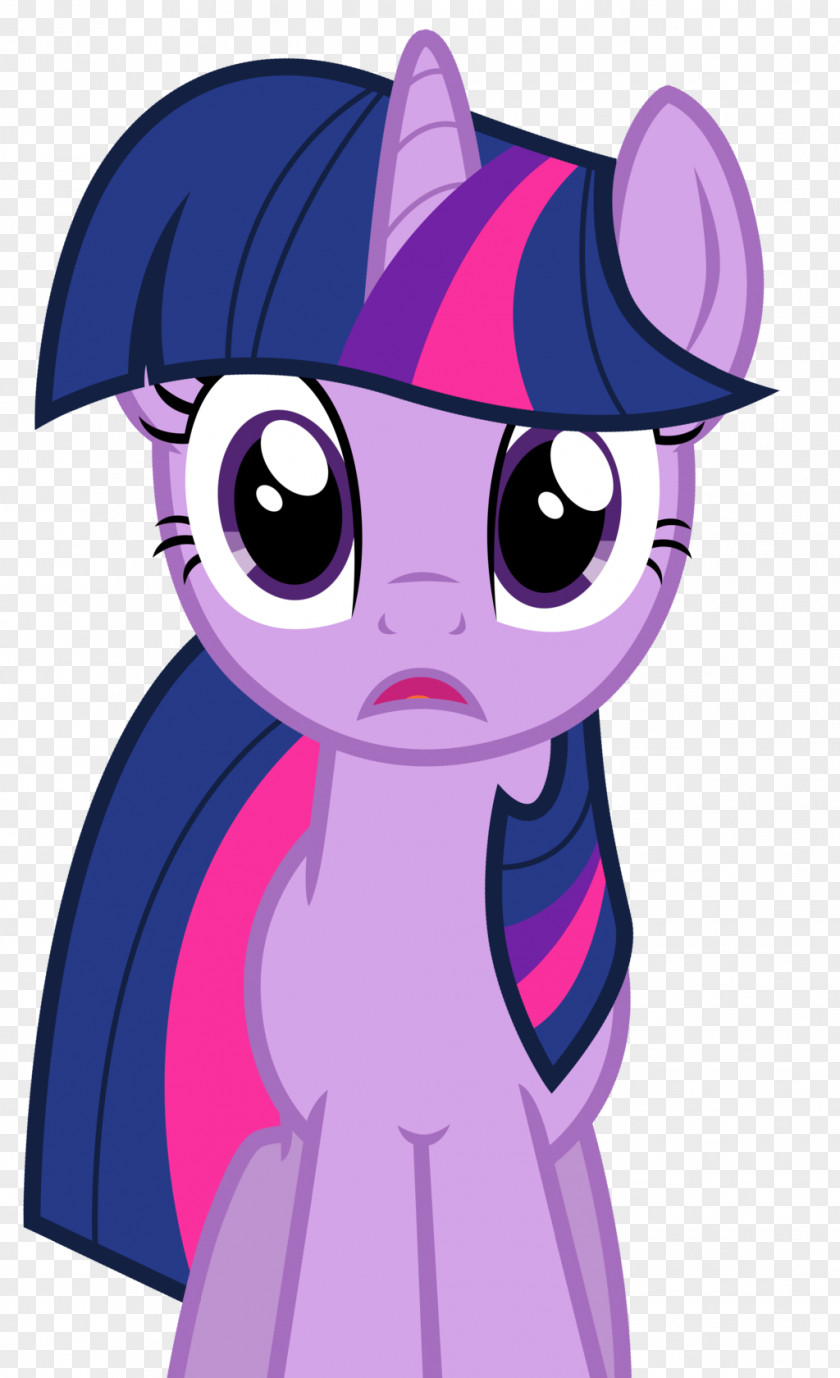 Sparkle Twilight Pinkie Pie Pony Rainbow Dash The Saga PNG