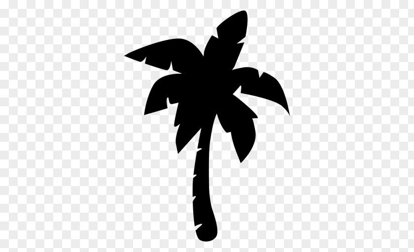 Coconut Arecaceae Tree PNG