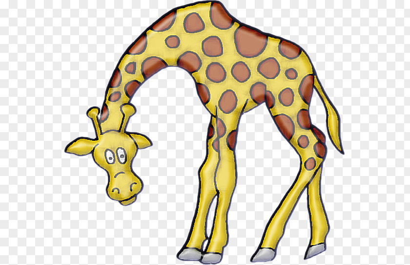 Giraffe Cat Terrestrial Animal Dog PNG