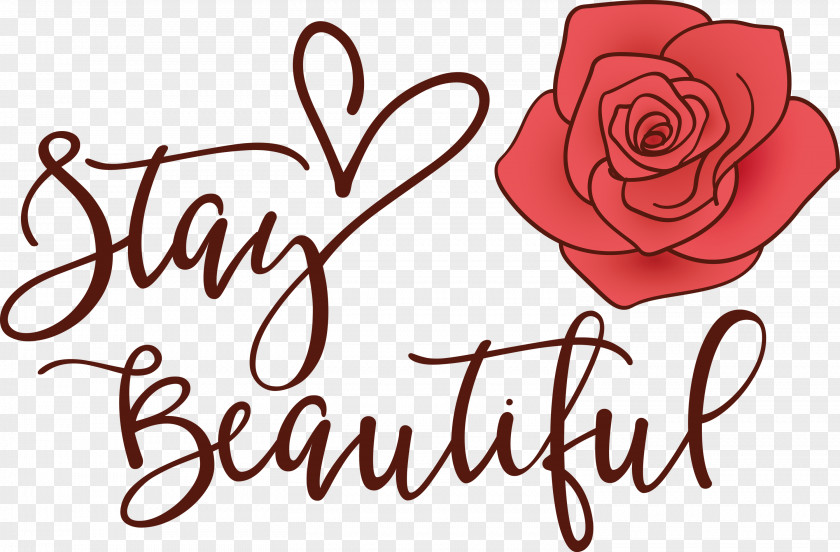 Stay Beautiful Fashion PNG