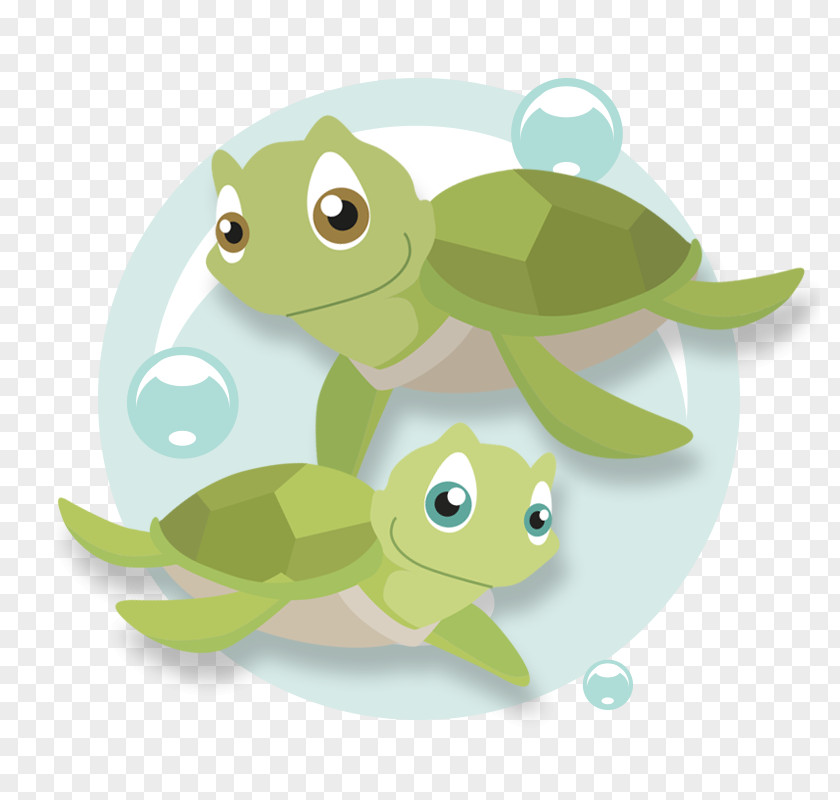 Turtle Character Clip Art PNG