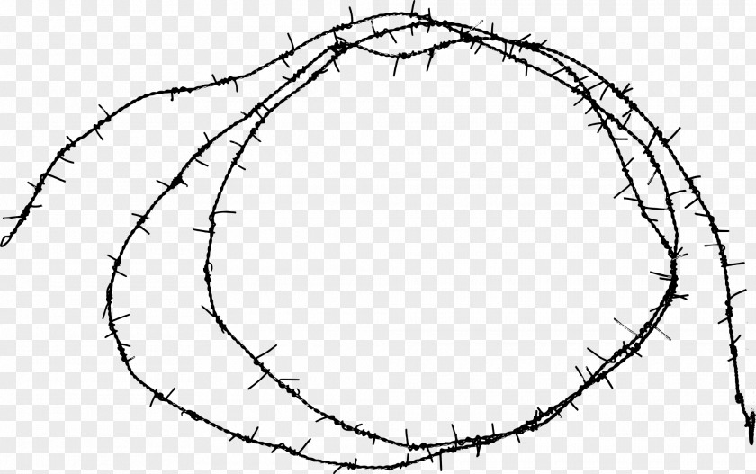 Circle Frame Wiring Diagram Barbed Wire Electronic Circuit PNG