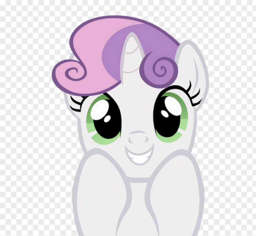 Sweeping Dust Whiskers Pony Sweetie Belle Cat Horse PNG
