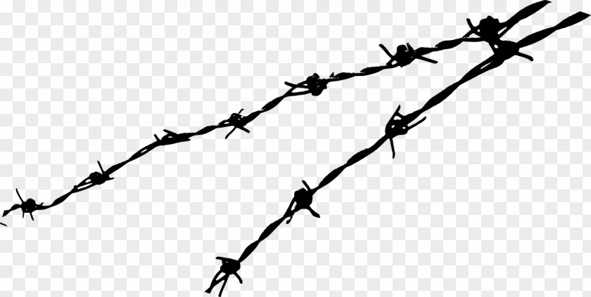 Vallam Barbed Wire Chain-link Fencing Clip Art PNG