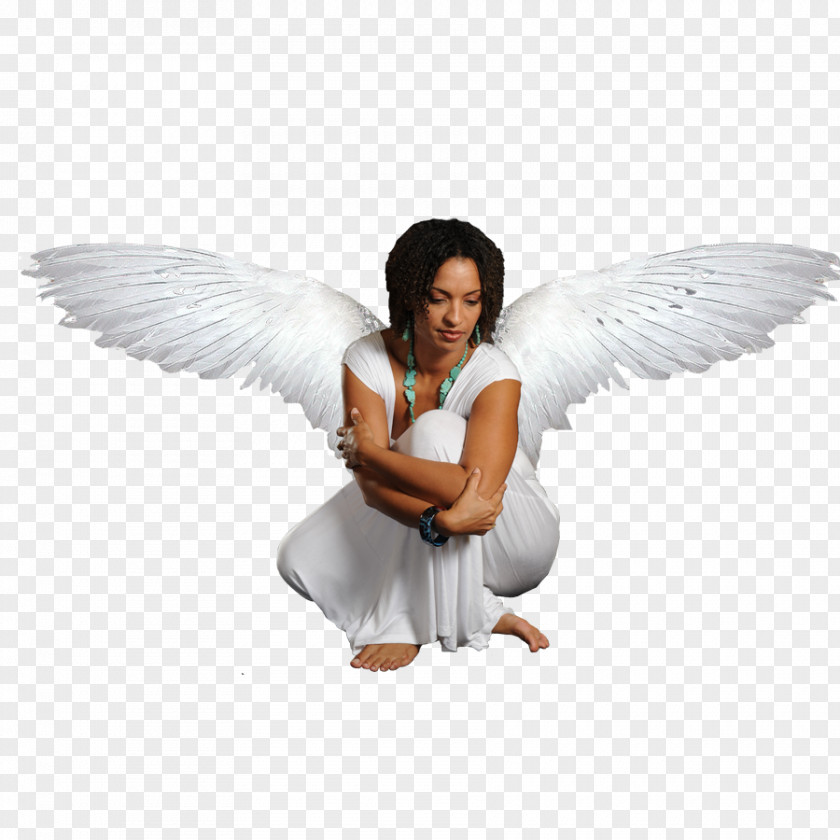 Angel Therapy: Healing Messages For Every Area Of Your Life PNG
