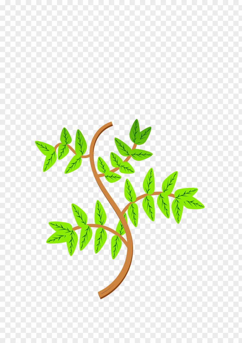 Branch Leaves Cliparts Leaf Tree Clip Art PNG