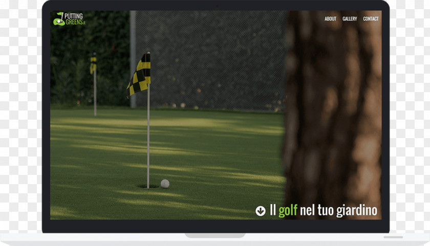 Golf Green Clubs Tree PNG
