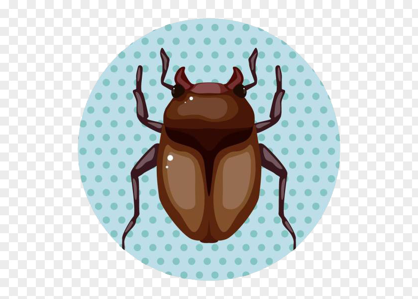 Loopholes Out Of Insects Insect Cartoon Illustration PNG