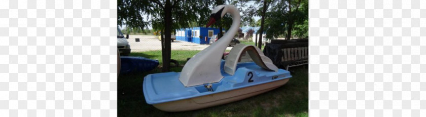 Paddle Boat Sailboat Pedal Boats Cygnini Leisure PNG