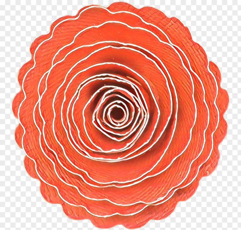 Plant Flower Orange PNG