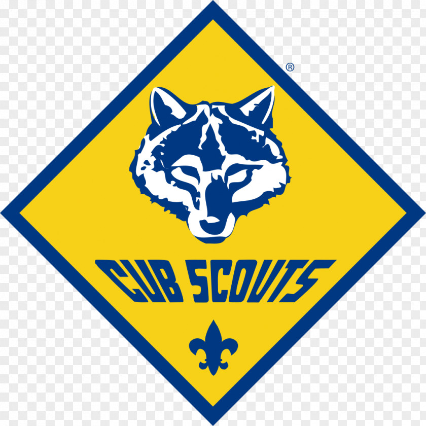 Scout Scouting For Boys Pinewood Derby Gulf Coast Council Cub Boy Scouts Of America PNG