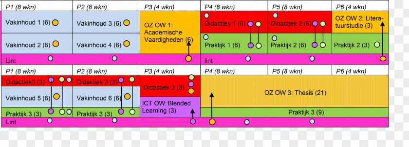 Tcm Masters Computer Program Teacher Master's Degree Docente Dijak PNG