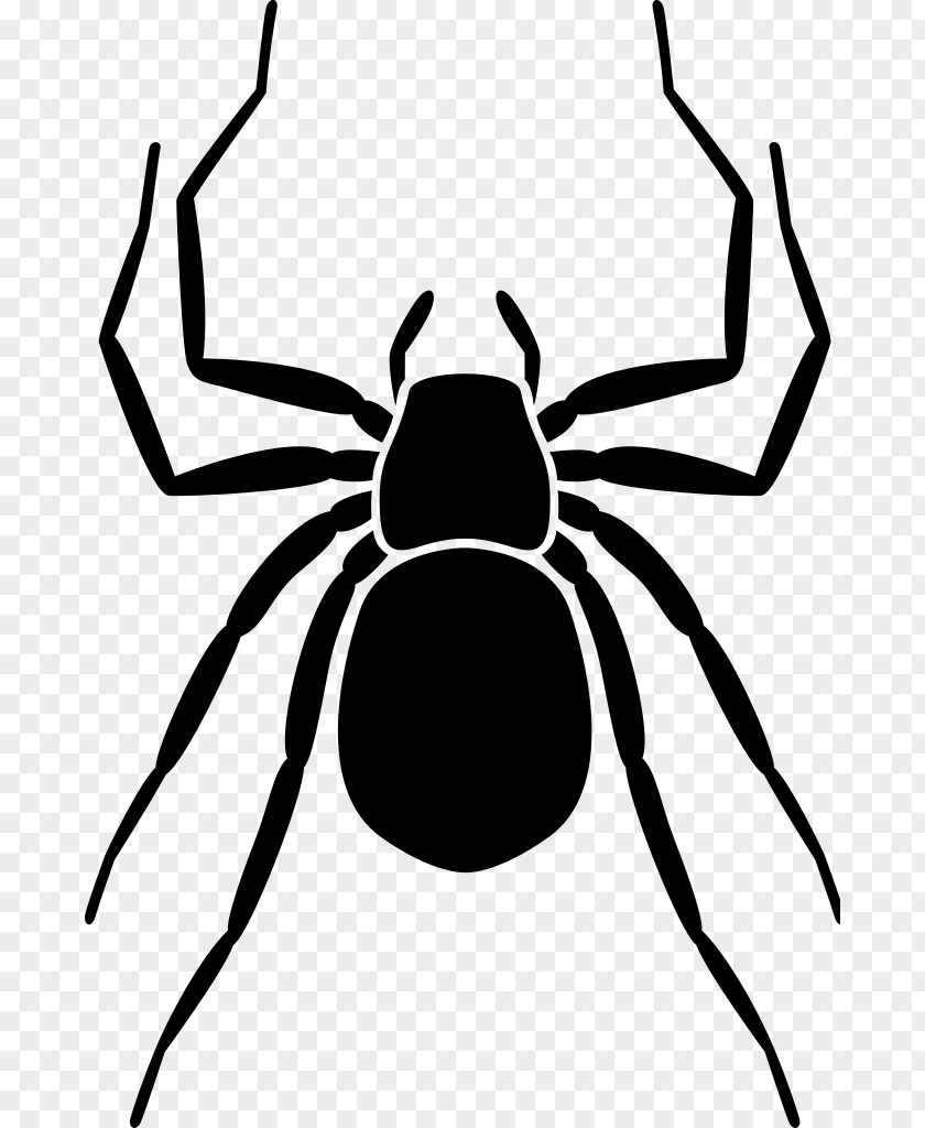 Earth Homo Sapiens Spider Clip Art PNG