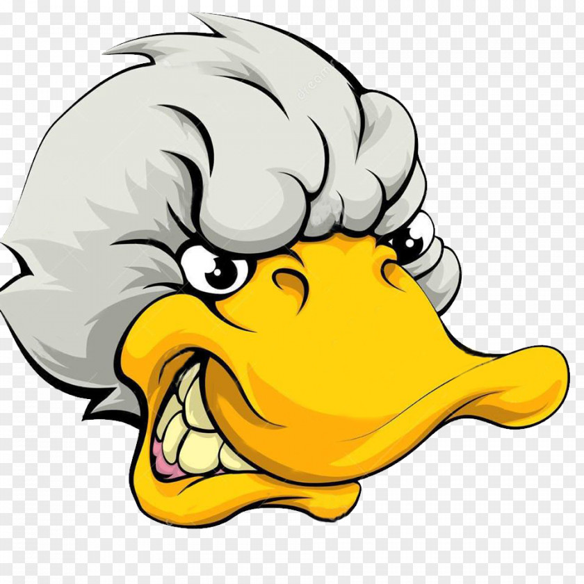 Miraflores Donald Duck Vector Graphics Illustration Image PNG