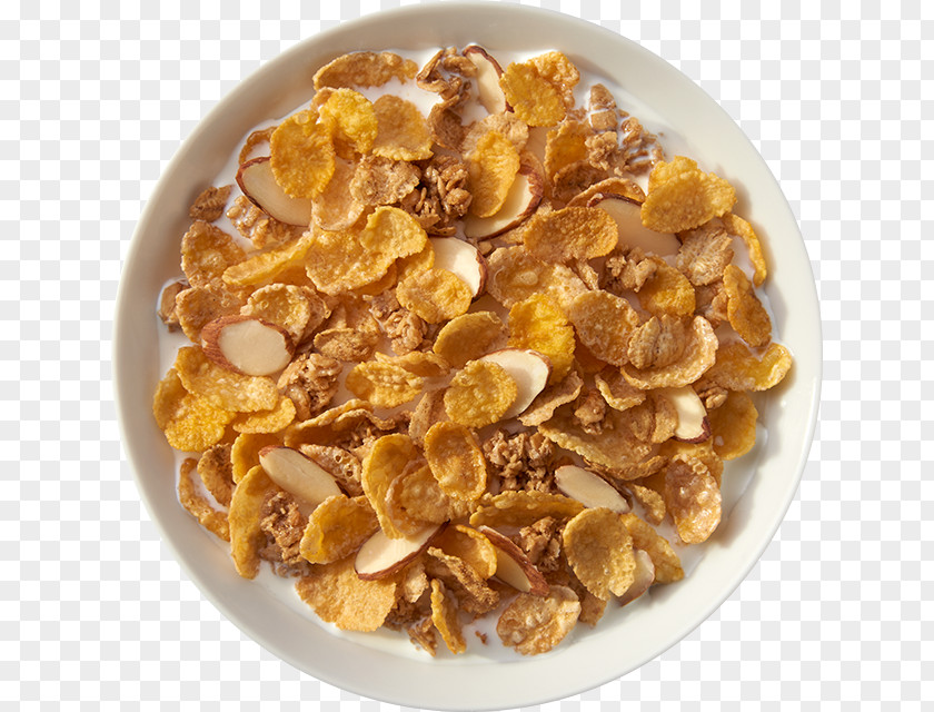 Oats Breakfast Cereal Oatmeal Honey PNG