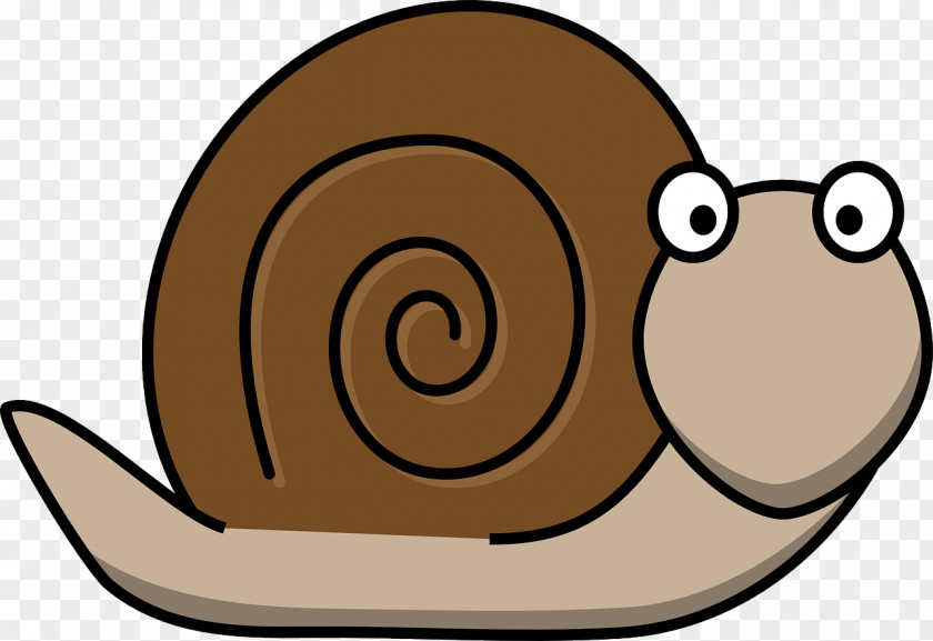 Snail Cartoon Molluscs Clip Art PNG