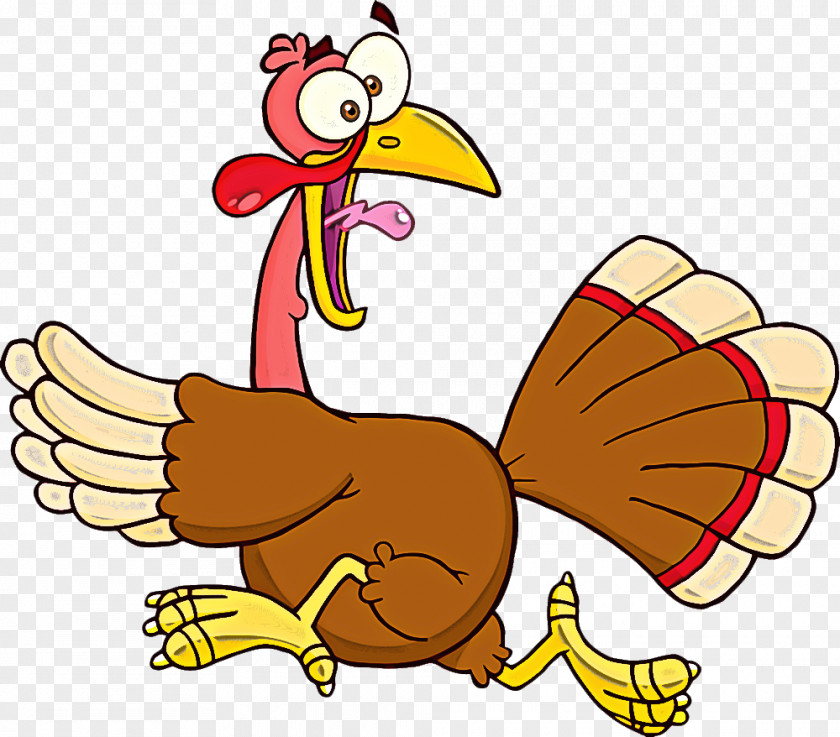 Cartoon Turkey Wing Bird Beak PNG