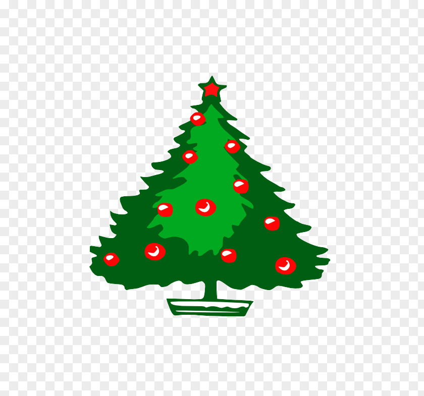 Conifer Christmas Tree PNG