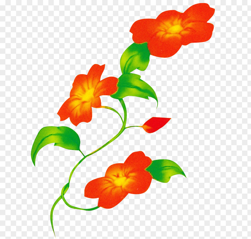 Flower Floral Design Clip Art PNG