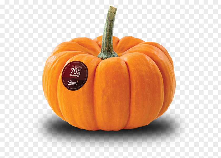 Pumpkin Big Pie Jack-o'-lantern Stock Photography PNG