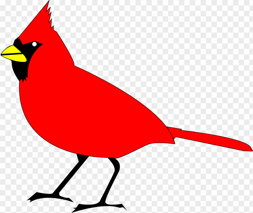 Turkey Bird Northern Cardinal Clip Art PNG