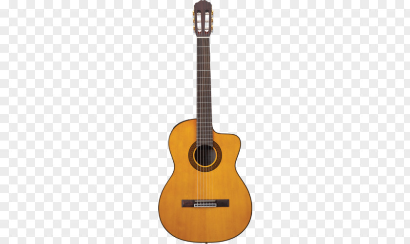 Acoustic Classical Guitar Steel-string Acoustic-electric PNG