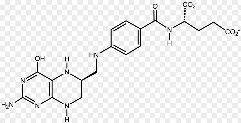 Fille Folinic Acid Molecule Purine Isomer Chemical Compound PNG