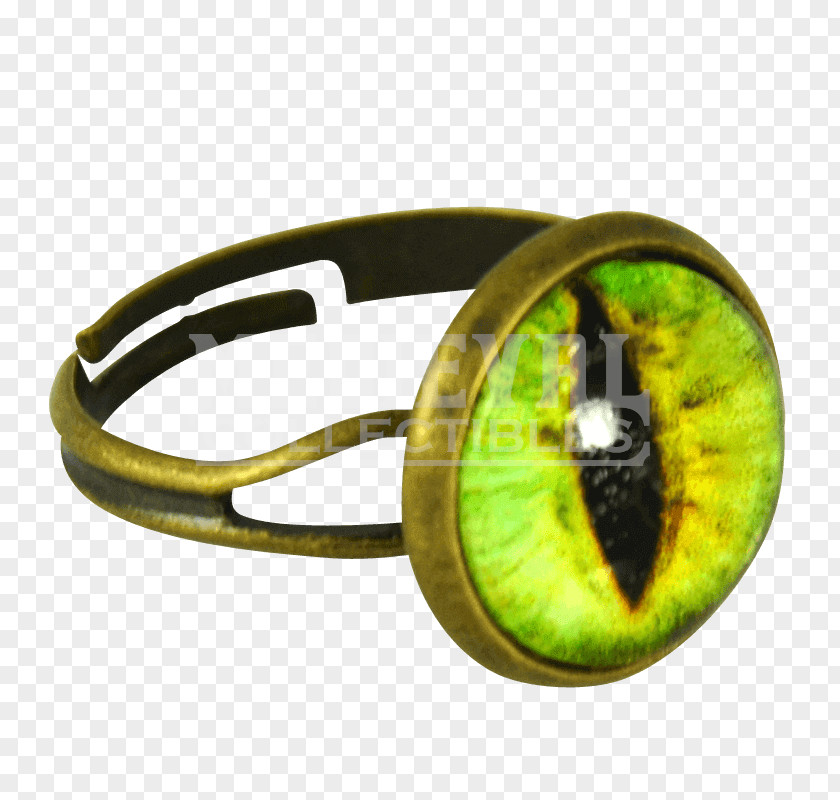 Insect Goggles Eye-ring Dragon PNG