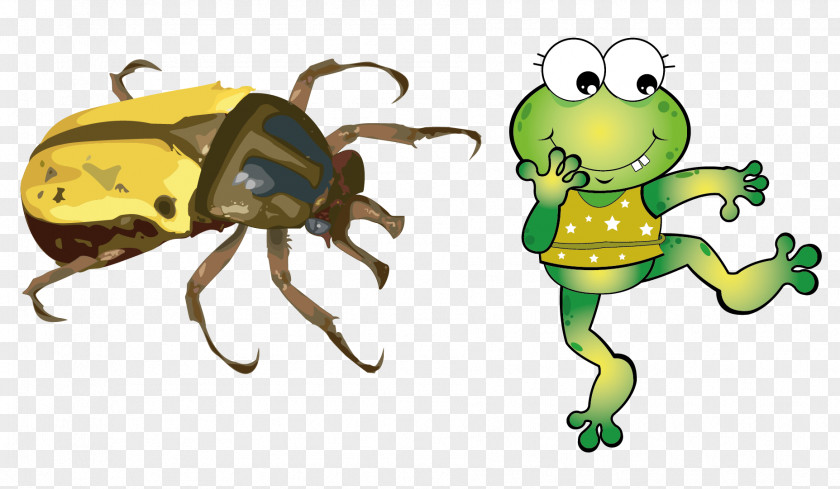 Insect Vectors Scarabs PNG