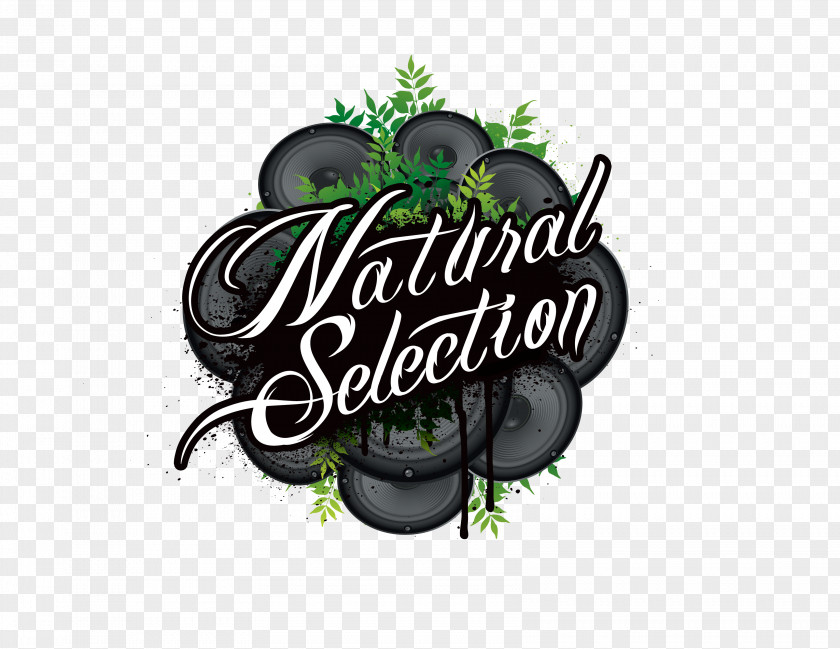 Natural Selection Logo Raffle Writing Art PNG