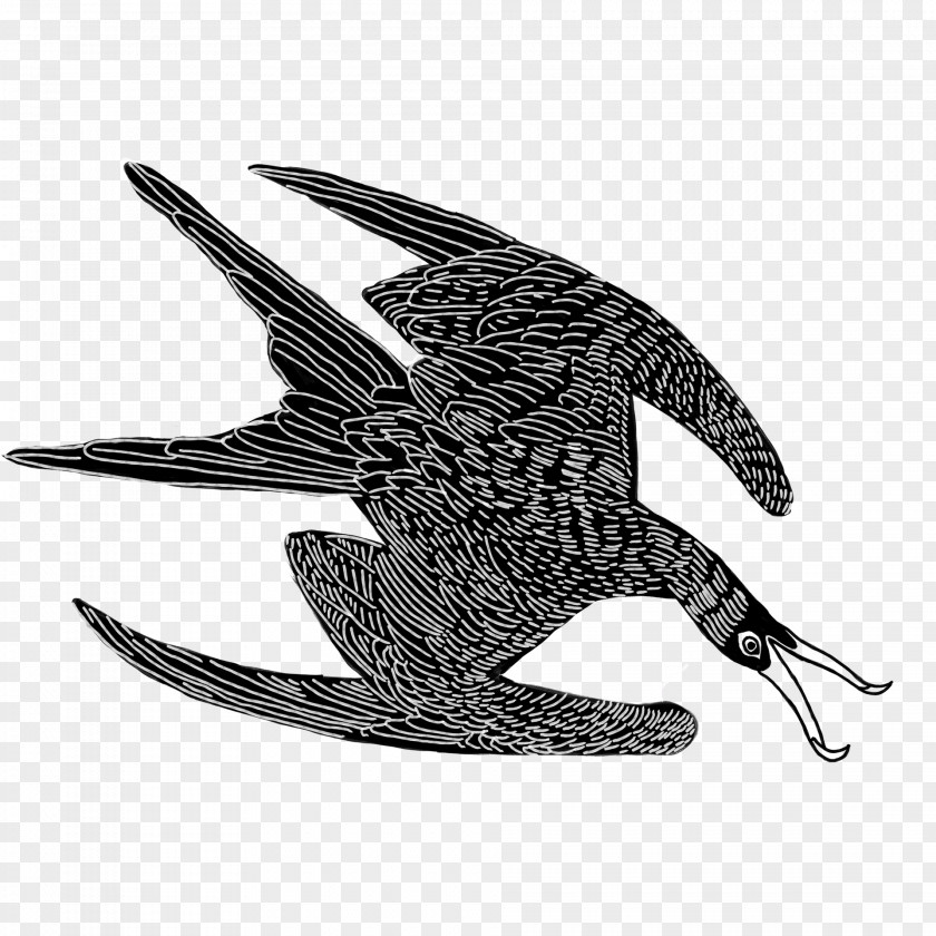 Perching Bird European Swallow Peregrine Falcon Wing Claw Logo PNG
