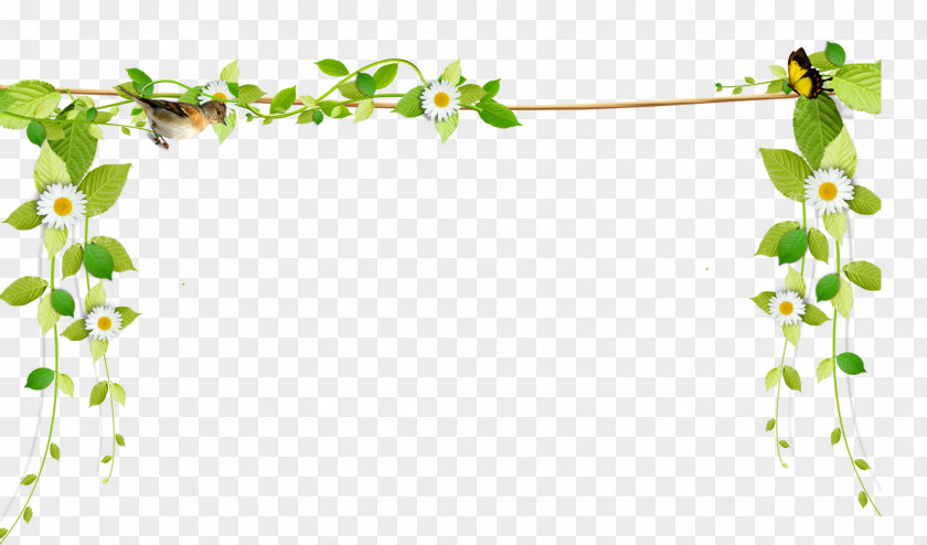 Beautiful Fresh Vines Border Rope Flower PNG