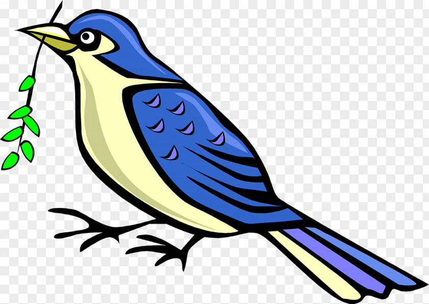 Bird Beak Feather Clip Art Animal PNG