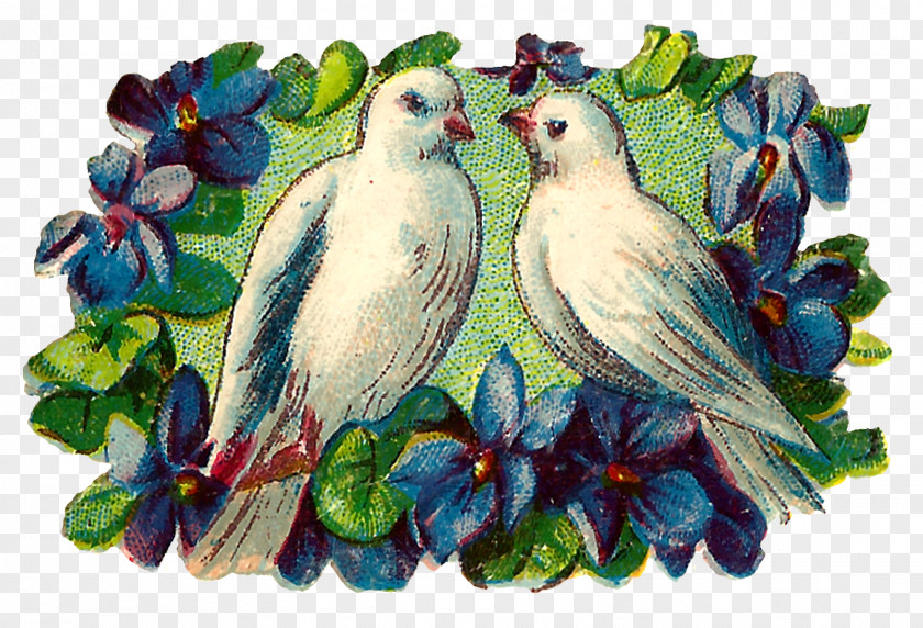 Bird Clip Art Image Openclipart Romance PNG