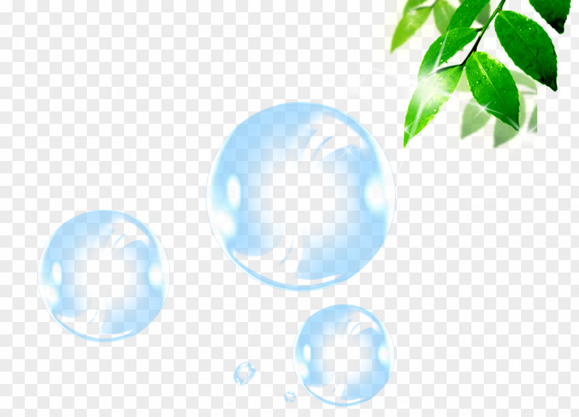 Blister Bubble Bamboo Sphere PNG