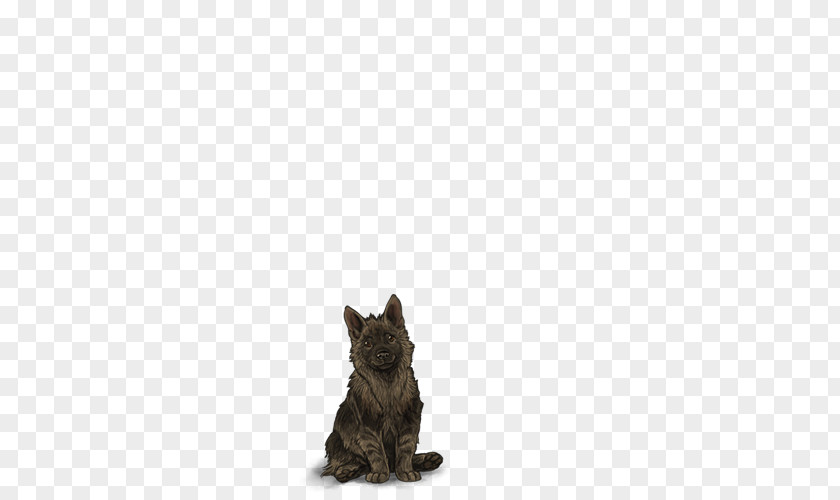 Hyena Cairn Terrier Scottish Cat Puppy Dog Breed PNG