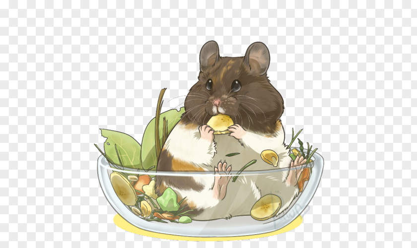 Mouse Dormouse Hamster Whiskers PNG