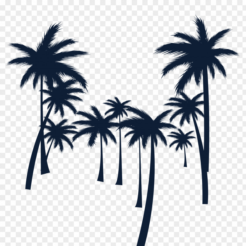 Beach Silhouette Image Drawing Photograph Illustration PNG