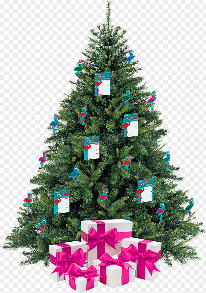 Christmas Tree Pine Stock Photography PNG